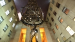 New York Statue